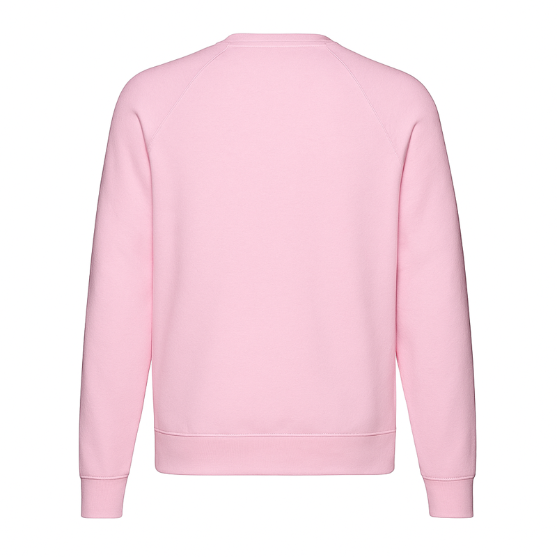 Sweatshirt Unisex save the turtle Organic F62216