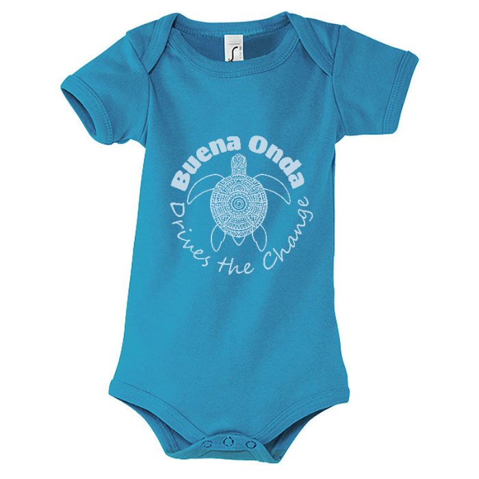 Baby Buena Turtle | Sol's 00583